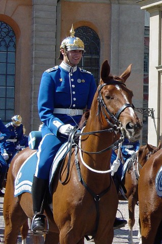 Member of the Royal Guard